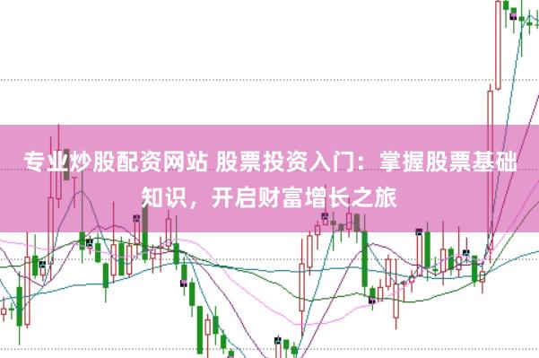 专业炒股配资网站 股票投资入门：掌握股票基础知识，开启财富增长之旅