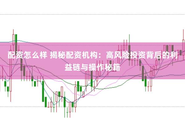 配资怎么样 揭秘配资机构：高风险投资背后的利益链与操作秘籍
