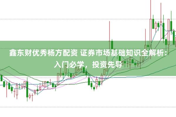 鑫东财优秀杨方配资 证券市场基础知识全解析：入门必学，投资先导