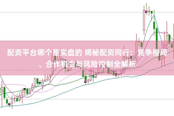 配资平台哪个是实盘的 揭秘配资同行：竞争格局、合作机会与风险控制全解析