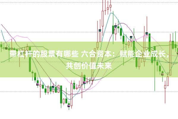 带杠杆的股票有哪些 六合资本：赋能企业成长，共创价值未来