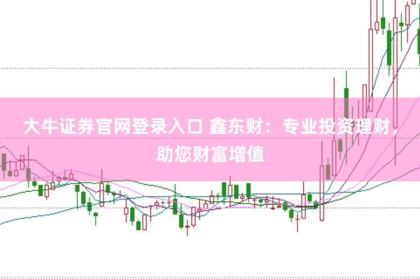 大牛证券官网登录入口 鑫东财：专业投资理财，助您财富增值