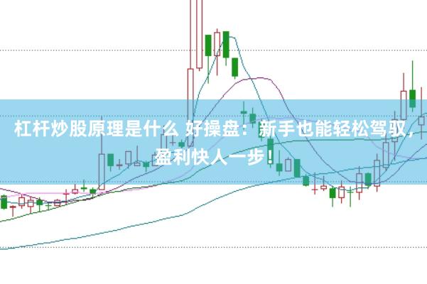 杠杆炒股原理是什么 好操盘：新手也能轻松驾驭，盈利快人一步！