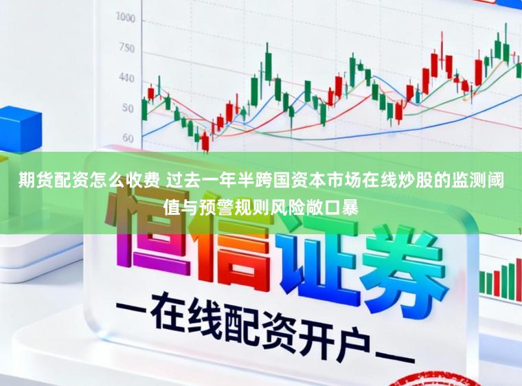 期货配资怎么收费 过去一年半跨国资本市场在线炒股的监测阈值与预警规则风险敞口暴