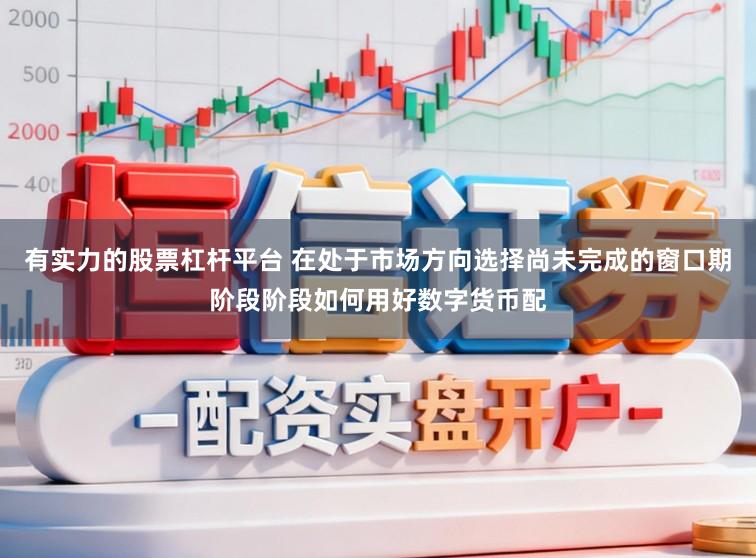 有实力的股票杠杆平台 在处于市场方向选择尚未完成的窗口期阶段阶段如何用好数字货币配