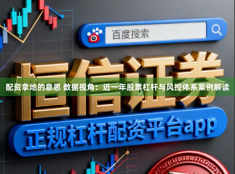 配资拿地的意思 数据视角：近一年股票杠杆与风控体系案例解读