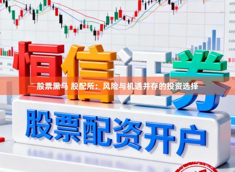 股票黑马 股配所：风险与机遇并存的投资选择